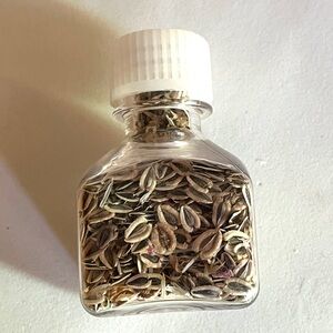 Clear Bottle filled with NM Wildflower seeds. Sweet little decor item.